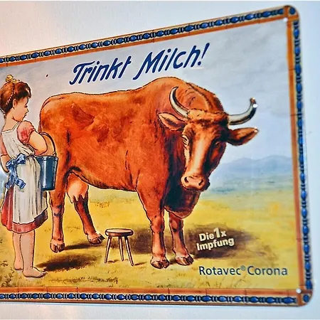 Leni Comfortable * 글로페